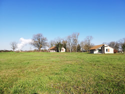 Extérieur arboré des gîtes