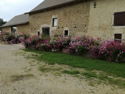 Extérieur du domaine Ferme des Dames